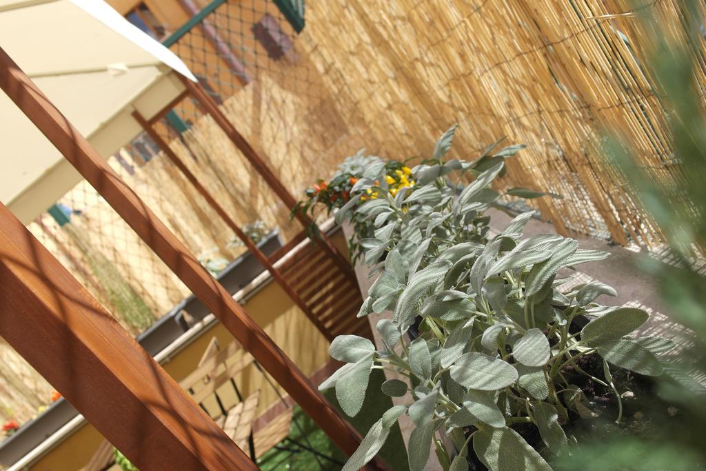Candia Green House B&B 로마 외부 사진